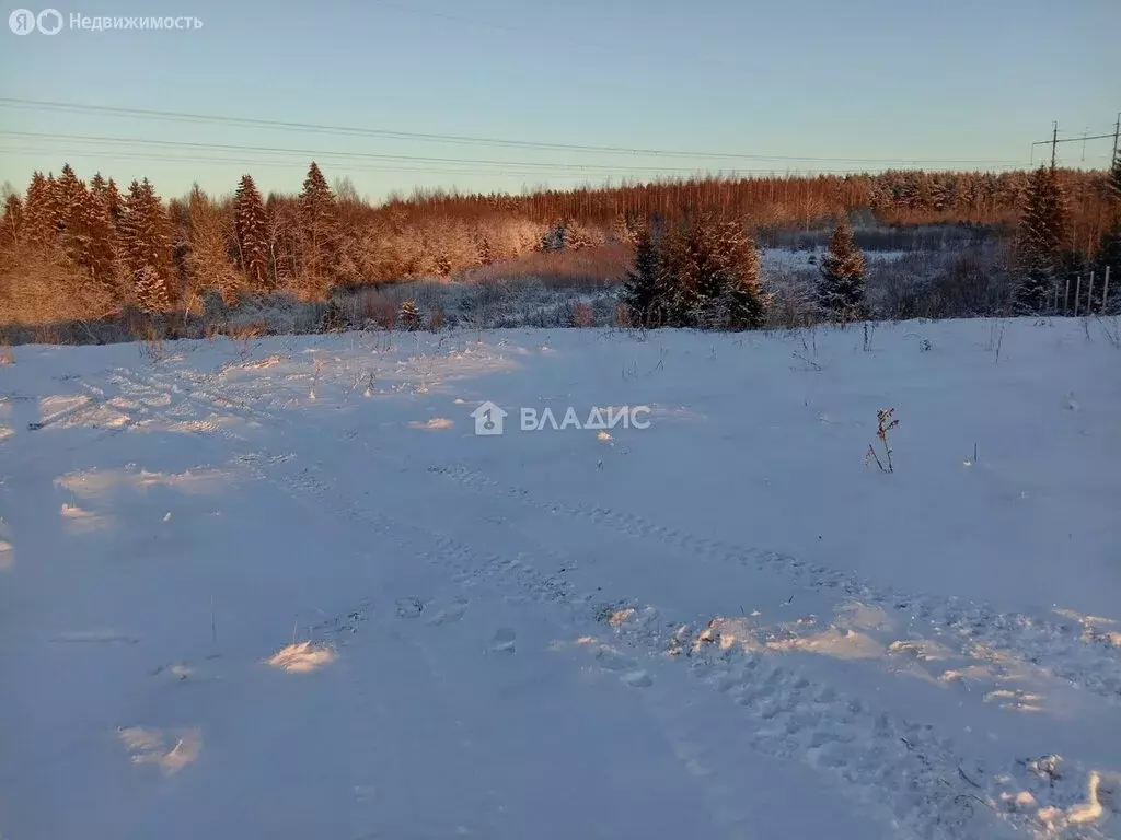 Участок в Вологодский муниципальный округ, посёлок Сосновка (15 м) - Фото 1