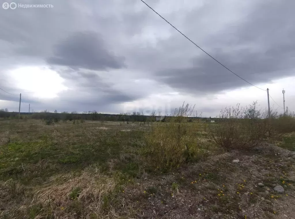 Участок в Свердловская область, Белоярский муниципальный округ, ... - Фото 1