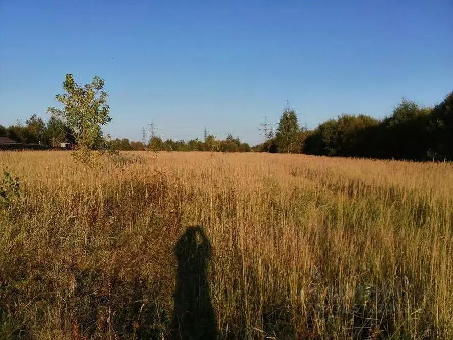 Участок в Московская область, Коломна городской округ, д. Санино пер. ... - Фото 1