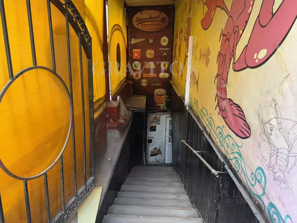 Помещение свободного назначения в Алтай, Горно-Алтайск ... - Фото 2