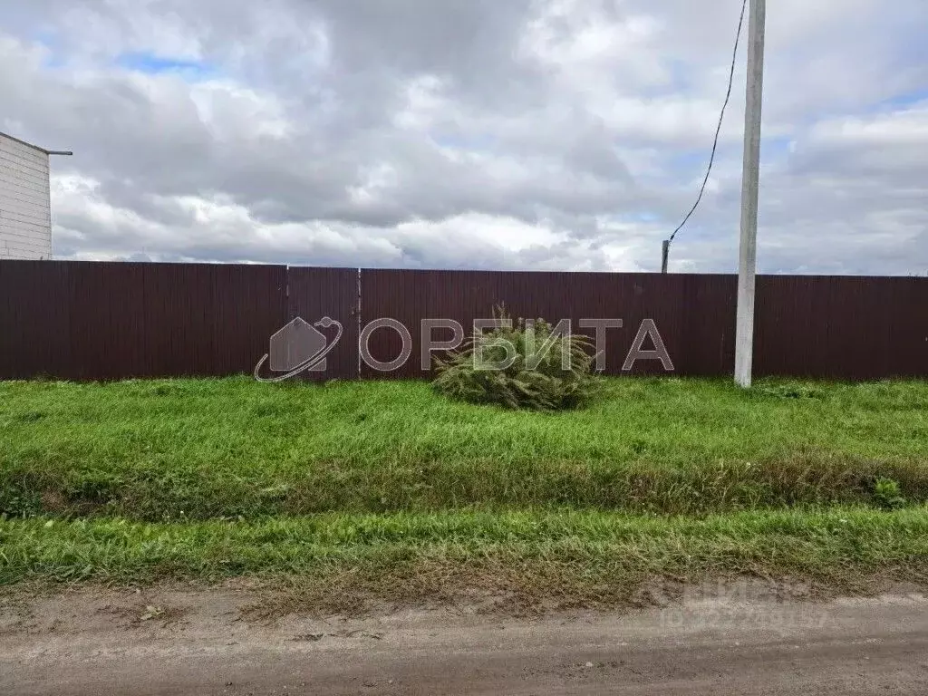 Участок в Тюменская область, Тюменский муниципальный округ, с. Борки ... - Фото 1