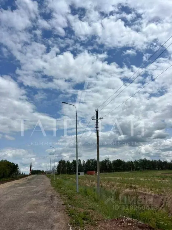 Участок в Татарстан, с. Пестрецы ул. Гаврилова (150.0 сот.) - Фото 0