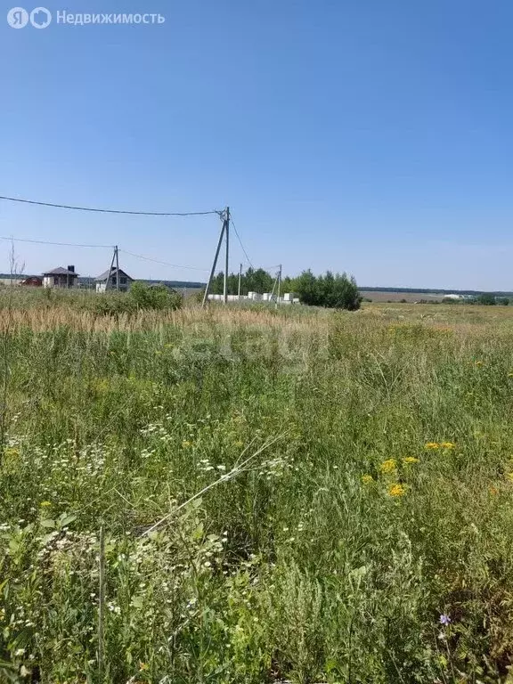 Участок в Пензенский район, Богословский сельсовет, село Богословка ... - Фото 0
