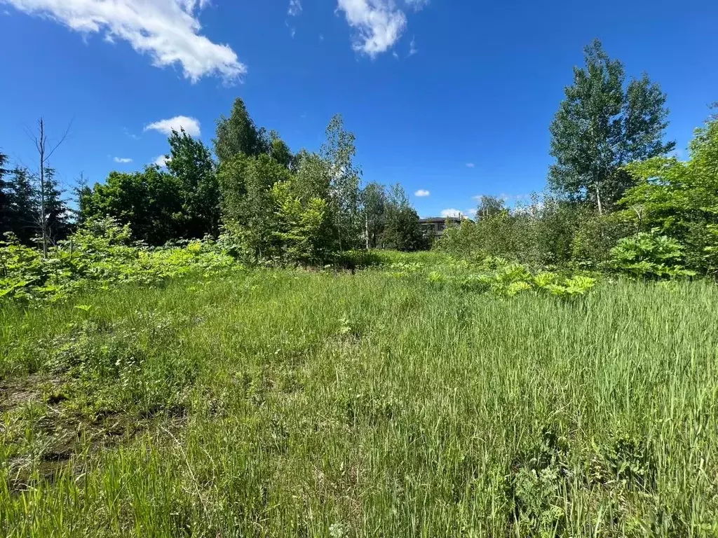 Участок в Московская область, Щелково городской округ, Мечта-2 СНТ 8 ... - Фото 0