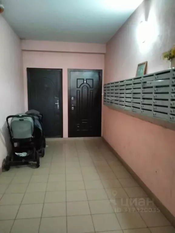 Студия Краснодарский край, Сочи ул. Тимирязева, 44 (27.8 м) - Фото 1