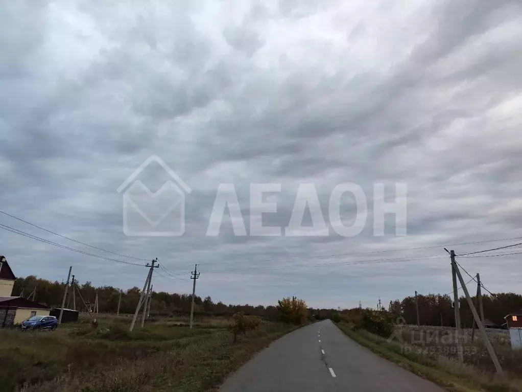 Участок в Омская область, Омский район, Надеждинское с/пос, д. ... - Фото 2