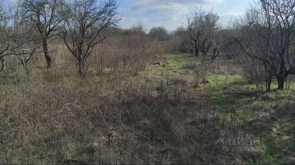 Участок в Ростовская область, Батайск Весна ДНТ, ул. 10-й Проезд (6.0 ... - Фото 2