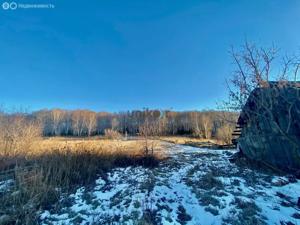 Дом в село Новокулево, улица Нуриманова, 1 (60 м) - Фото 0