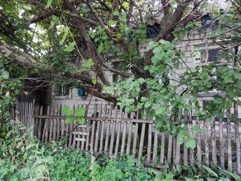 Дом в Белгородская область, Поселок Чернянка городское поселение, ... - Фото 2