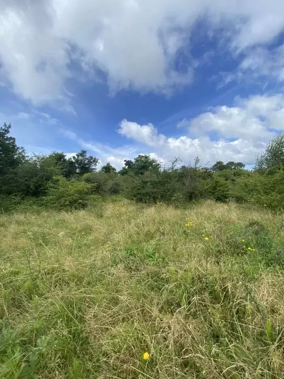 Участок в Калининградская область, Зеленоградский муниципальный округ, ... - Фото 1