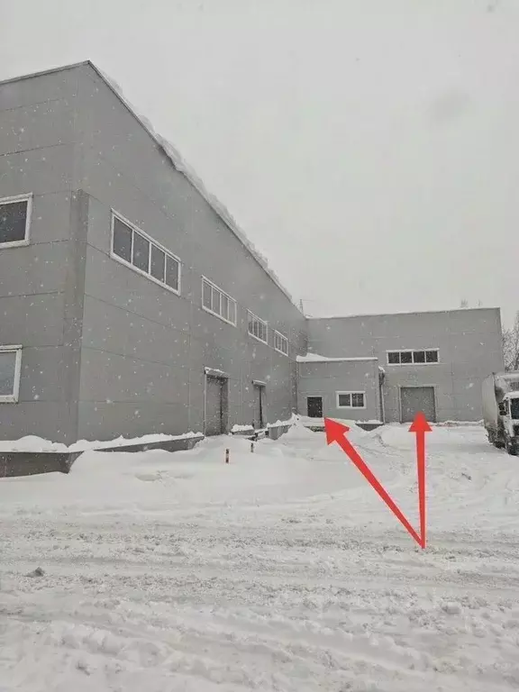 Склад в Московская область, Пушкино Базарная ул., 24с2 (339 м) - Фото 1