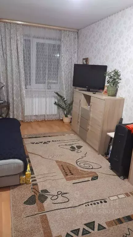 Комната Калининградская область, Светлый Молодежная ул., 4 (15.0 м) - Фото 0