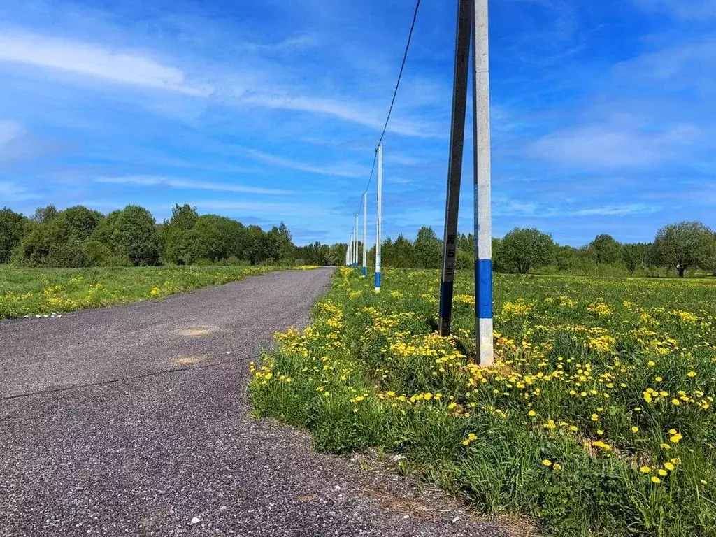 Участок в Московская область, Клин городской округ, Коськово кп 80 ... - Фото 1
