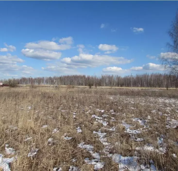Участок в Московская область, Коломна городской округ, с. Никульское  ... - Фото 0