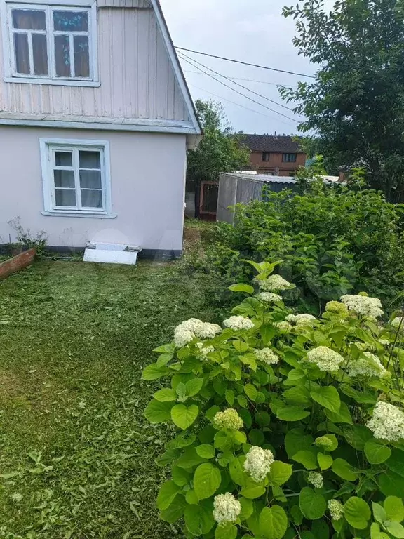 Дача 25 м на участке 4 сот. - Фото 1
