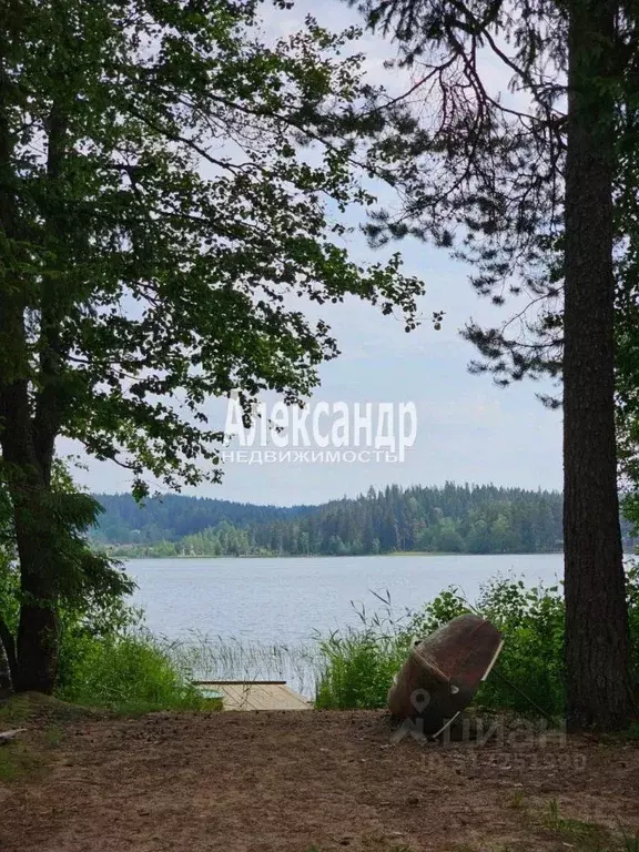 Дом в Карелия, Лахденпохья ул. Трубачева, 48 (62 м) - Фото 0
