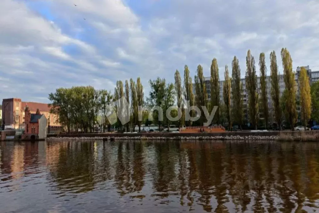 3-к кв. Калининградская область, Калининград ул. Багратиона, 89 (60.0 ... - Фото 2