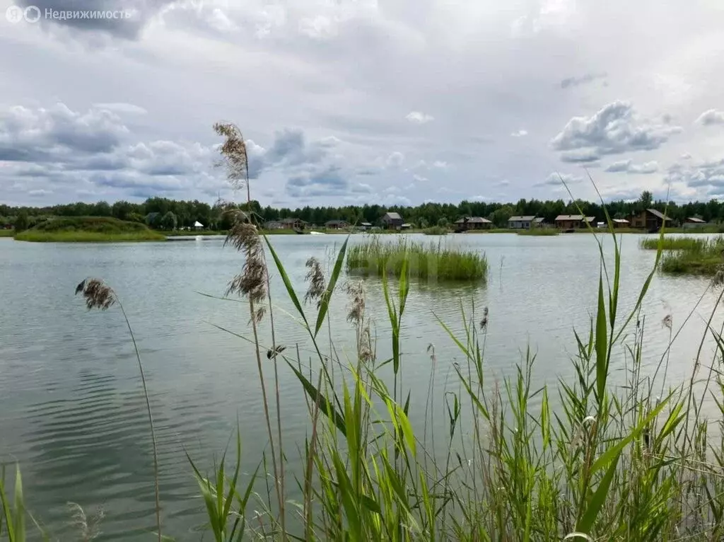 Участок в село Тюнево, Полевая улица (20 м) - Фото 2