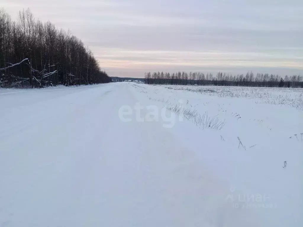 Участок в Костромская область, Костромской район, Апраксинское с/пос, ... - Фото 1