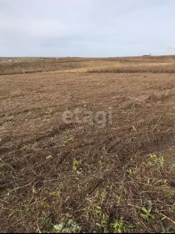 Участок в Башкортостан, Чишминский поссовет, Чишмы рп, пос. Чишмы-2  ... - Фото 0