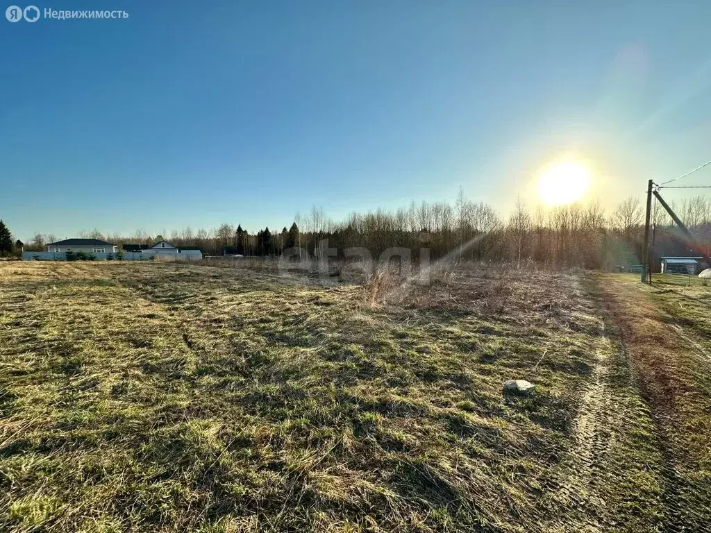Участок в Вологодский муниципальный округ, посёлок Лесково (15 м) - Фото 0