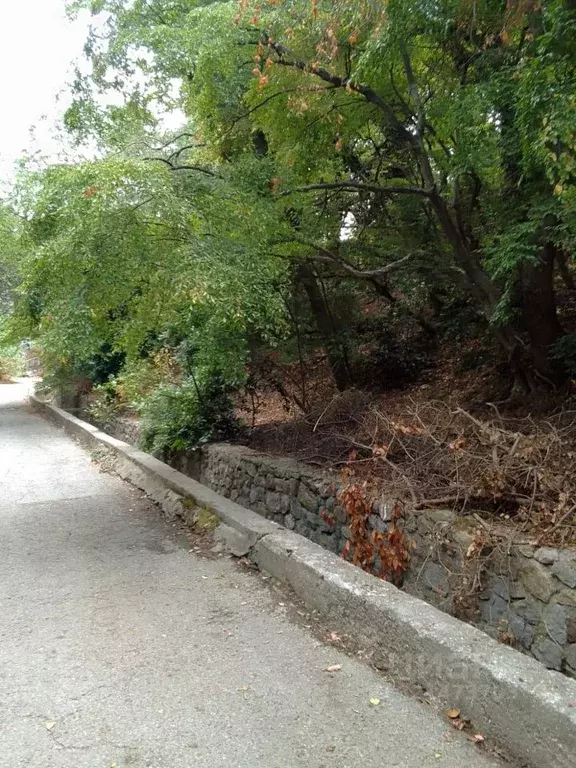 Участок в Крым, Алупка ул. Средняя (6.0 сот.) - Фото 1