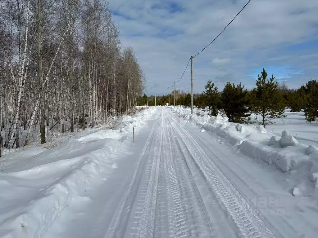 Участок в Тюменская область, Нижнетавдинский район, с. Тюнево  (15.0 ... - Фото 0