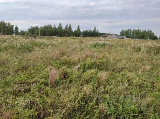 Участок в Московская область, Зарайск Зарайск муниципальный округ, ул. ... - Фото 1