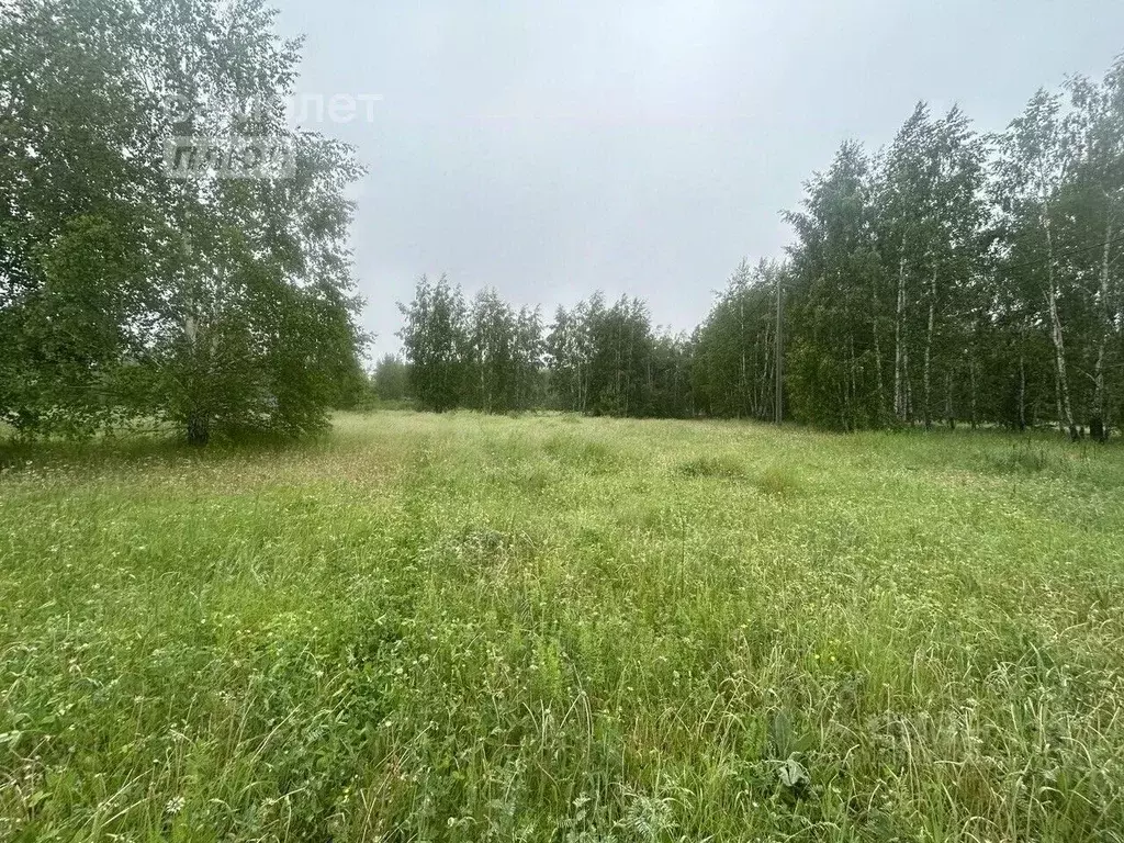 Участок в Челябинская область, Сосновский район, Кременкульское с/пос, ... - Фото 0