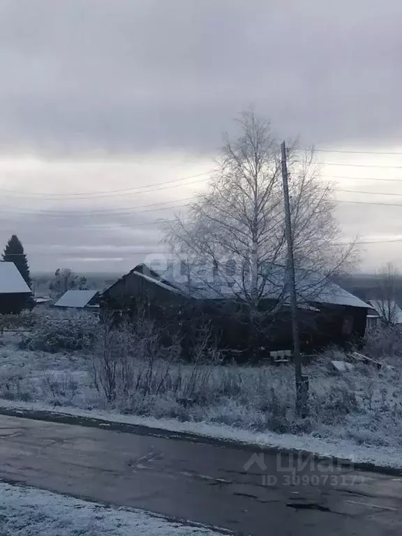 Участок в Коми, Сыктывдинский район, Палевицы муниципальное ... - Фото 0