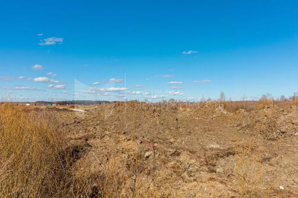 Участок в Тюменская область, Тюмень ул. 12-я Линейная (8.0 сот.) - Фото 2