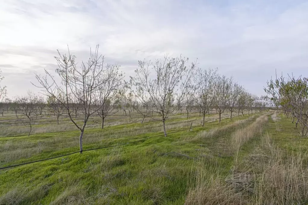 Участок в Крым, Бахчисарайский район, с. Тенистое  (357.0 сот.) - Фото 1