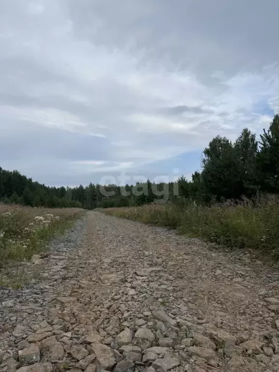 Участок в Свердловская область, Белоярский муниципальный округ, Чистые ... - Фото 0