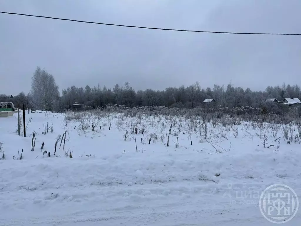 Участок в Ленинградская область, Лужский район, Скребловское с/пос, д. ... - Фото 2