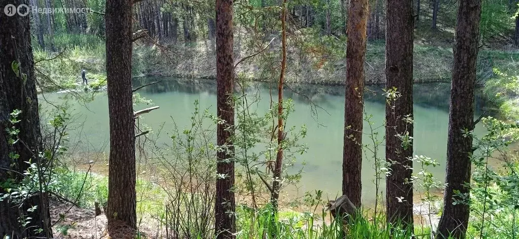 Участок в Свердловская область, Белоярский муниципальный округ, ... - Фото 1