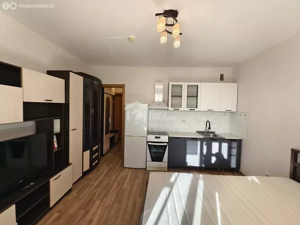 Квартира-студия: Кудрово, Европейский проспект, 13к1 (22.7 м) - Фото 2