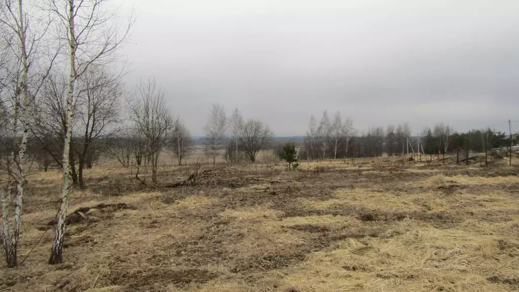 Участок в Московская область, Рузский муниципальный округ, д. Лыщиково ... - Фото 0