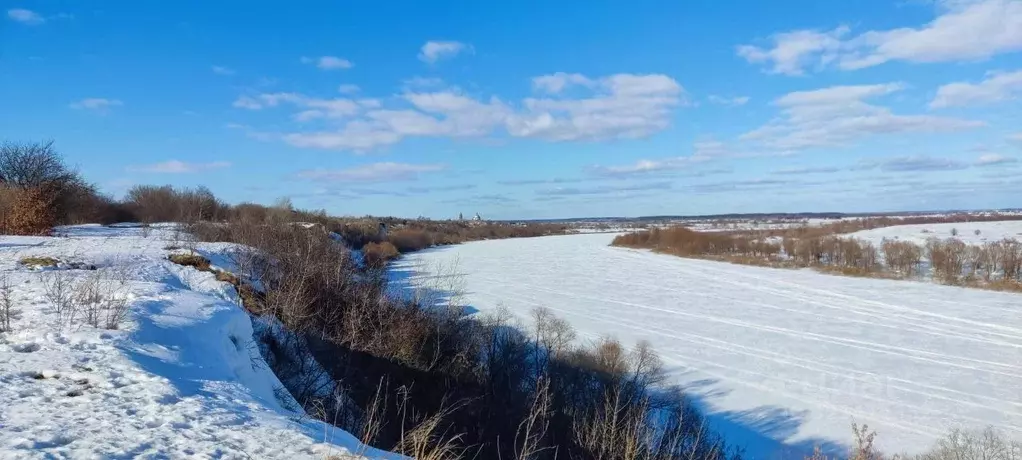 Участок в Рязанская область, Спасский муниципальный округ, с. Троица  ... - Фото 2