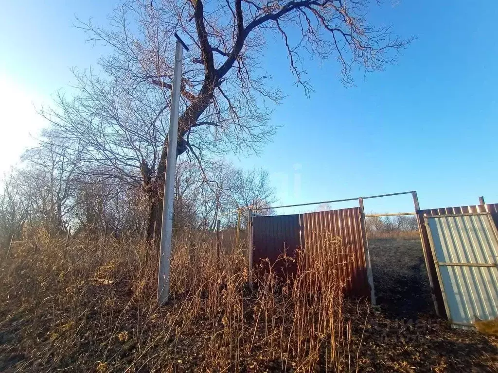 Участок в Тульская область, Богородицкий район, Бегичевское с/пос, д. ... - Фото 2