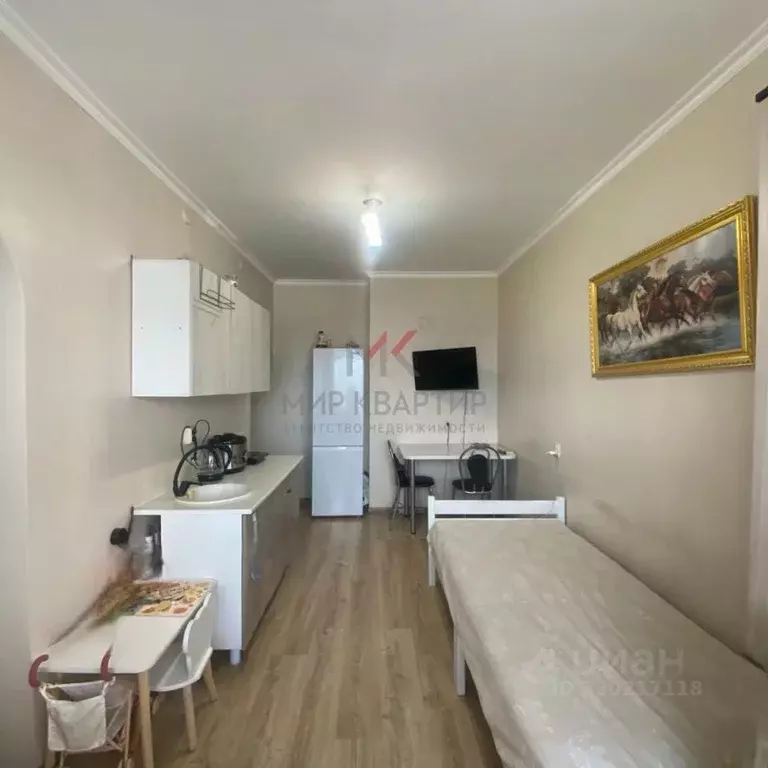 1-к кв. Тыва, Кызыл Московская ул., 114 (24.8 м) - Фото 2