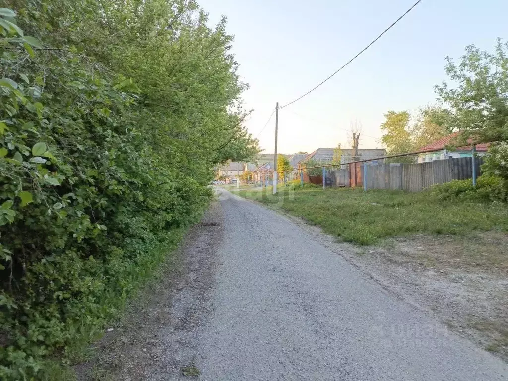 Участок в Белгородская область, Чернянский район, Русскохаланское ... - Фото 0