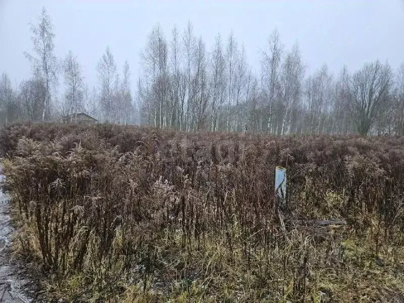 Участок в Брянская область, Брянский район, Снежское с/пос, с. ... - Фото 1