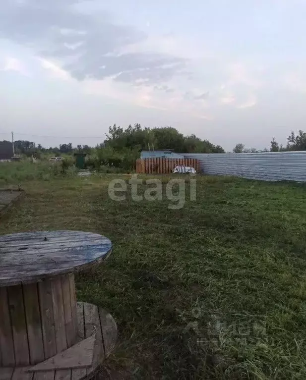 Участок в Курская область, Октябрьский район, Катыринский сельсовет, ... - Фото 2