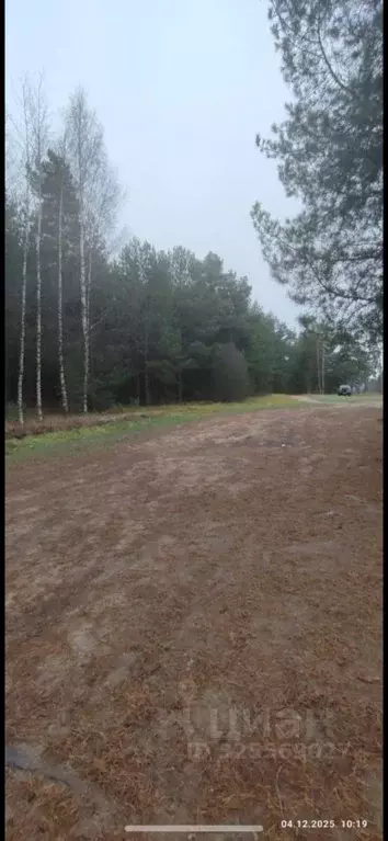 Дом в Ярославская область, Углич Ленинградская ул., 7А (100 м) - Фото 2