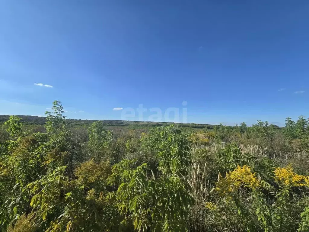 Участок в Воронежская область, Семилукский район, с. Девица, Поречье-2 ... - Фото 1