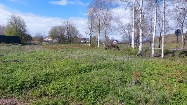 участок в вологодская область, белозерск ул. карла маркса (12.0 сот.) - Фото 0