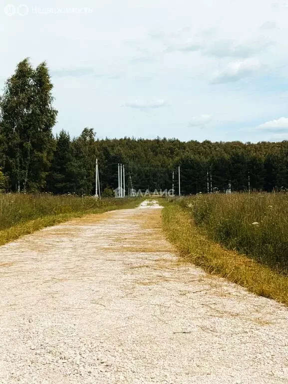 Участок в Владимирская область, Селивановский муниципальный округ, ... - Фото 1