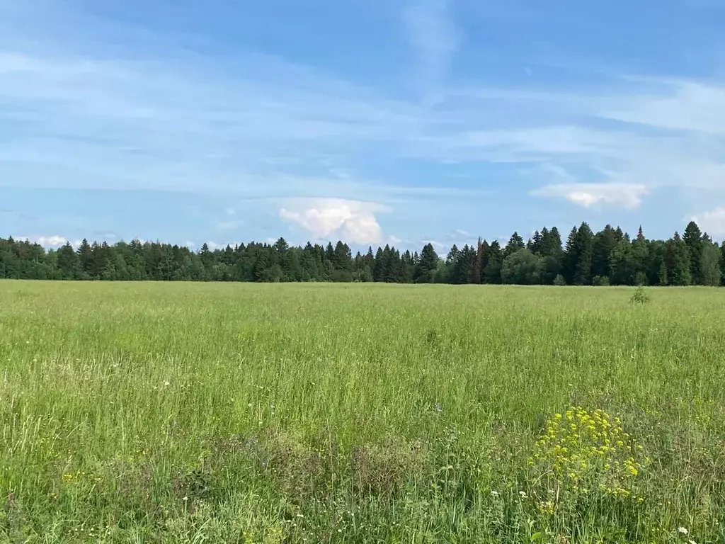 Участок в Пермский край, Пермский муниципальный округ, пос. Сылва ул. ... - Фото 2