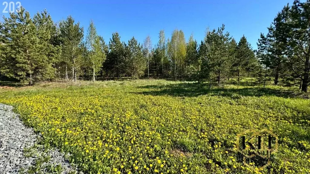 Участок в Свердловская область, Сысертский муниципальный округ, ... - Фото 1