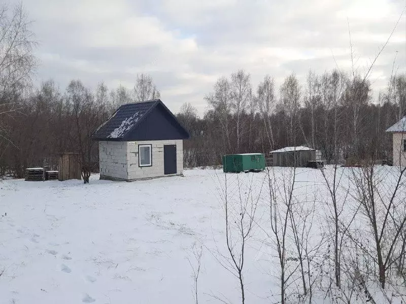 Дом в Алтайский край, Барнаул городской округ, пос. Бельмесево пер. ... - Фото 1